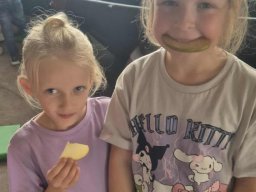 55905428412667224919223633823537939353065956n